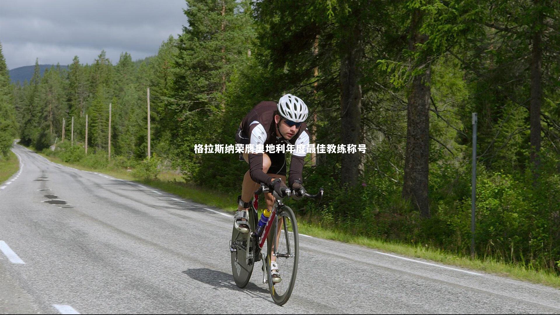 熊猫app官方网站：格拉斯纳荣膺奥地利年度最佳教练称号