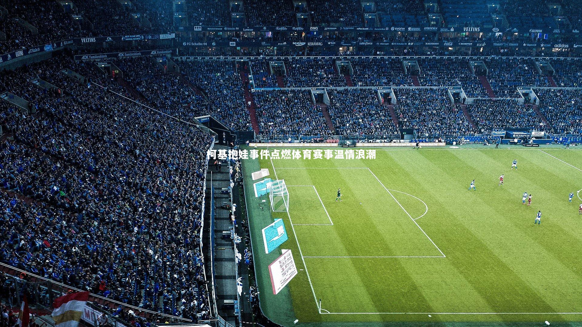 柯基抱娃事件点燃体育赛事温情浪潮